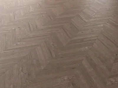 Parquet Oak Missisippi Wild Wood set 1 3D model