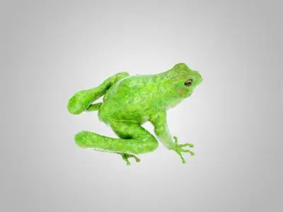 Frog Green 3D model
