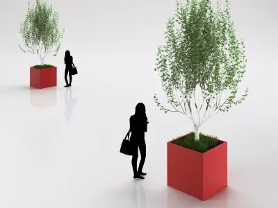 Young birch-tree in red pot 3D model