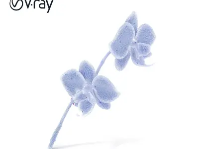 Orchid Flower Model Pack with PBR Textures Low-poly 3D model