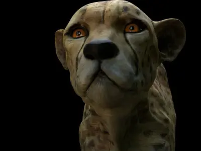 Cheetah Head 3D model