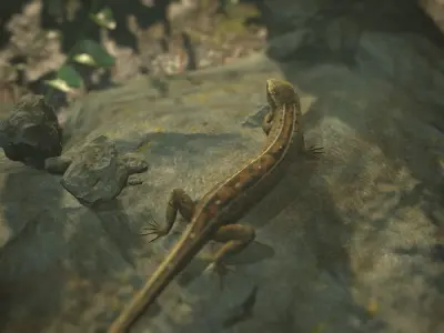 Lizard Lacerta Vivipara Low-poly 3D model