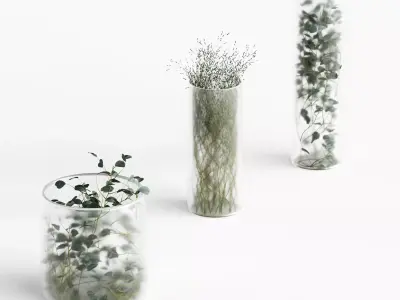 Plants in frosted vases 3D model