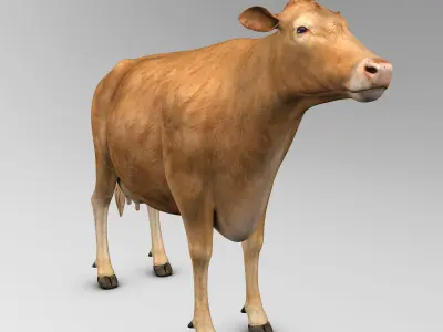 Cow Limousin 3D model