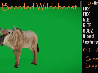 White Bearded Wildebeest Low-poly 3D model