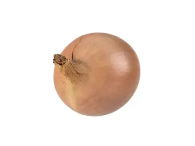 Photorealistic Onion 3D Scan 3D model