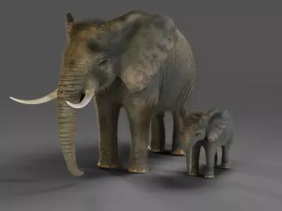 Fur Elephant and Baby Elephant NO Rigged in Blender Low-poly 3D model