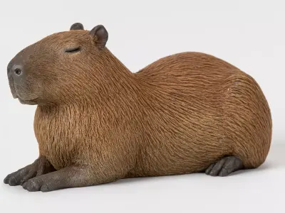 Capybara Low-poly 3D model