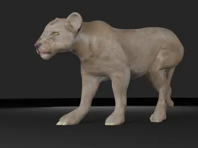 LIONESS ANIMATED Low-poly 3D model