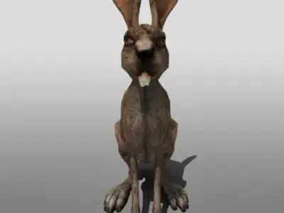 Jack Rabbit 3D model