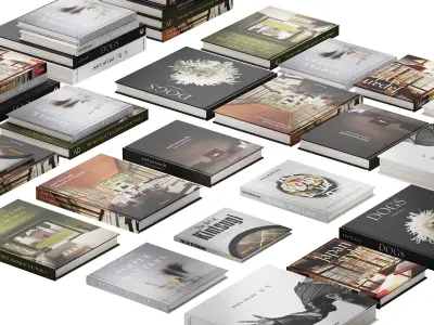 037 Decorative books set 04 Asia and Interior 00 3D model