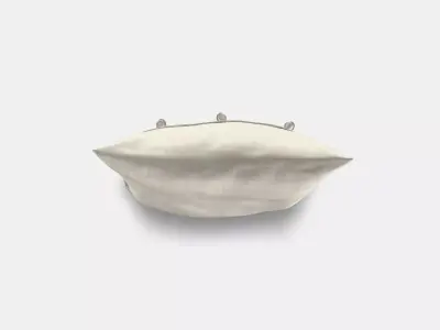 AINA Cushion cover 2 3D model