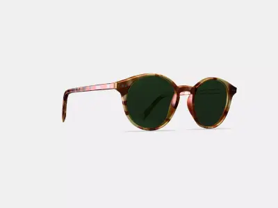 Morgan Sunglasses in Mesa Tortoise Low-poly 3D model