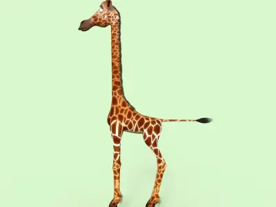 Cartoon Giraffe Rigged 3D model