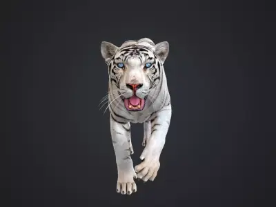 White Tiger 3D model