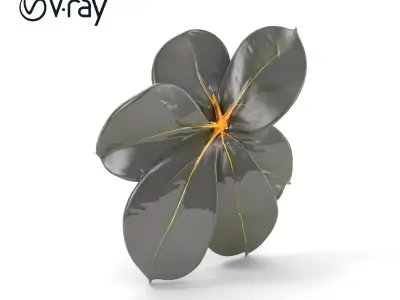 Tropical Leaf Model Pack with Detailed Textures Low-poly 3D model