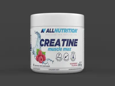 Protein Powder 3D model 160