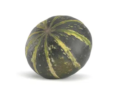 Decorative Pumpkin Gourd 1 3D model