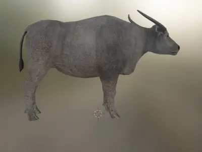 water buffalo  Low-poly 3D model