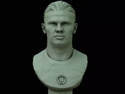 Erling Haaland 3D bust for printing 3D print model
