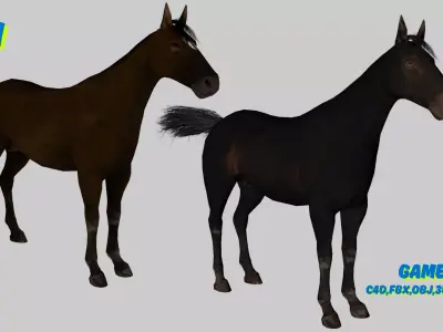 Realistic Horse 3D Model Pack 2 Variants  Game Ready Animals Low-poly 3D model