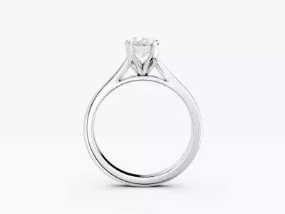 ZABS0012A PS 3D print model