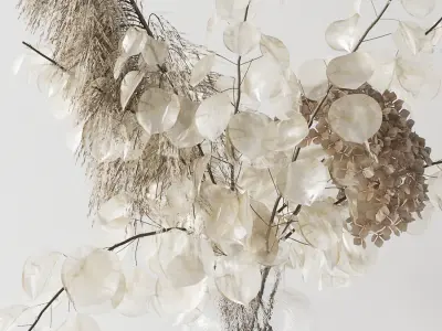 Bouquet with lunaria pampas grass and hydragea 3D model