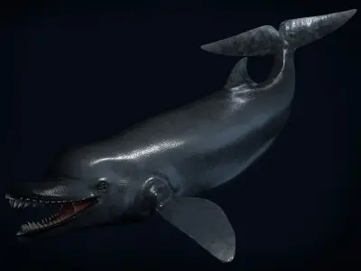 Acrophyseter whale Low-poly 3D model