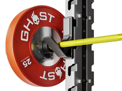 Olympic Power Rack 3D model