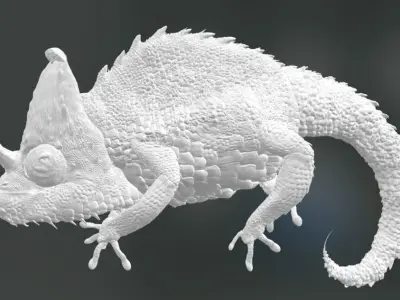 Chameleon with submeshes  3D model