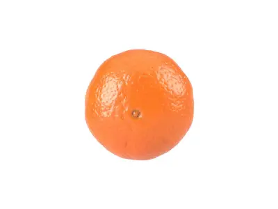 Photorealistic Clementine 3D Scan 3D model