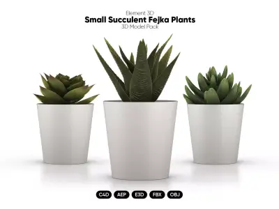 Small Fejka Plants 3D Models for Element 3D And Cinema 4D 3D model