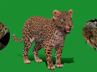 Leopard Cub Low-poly 3D model
