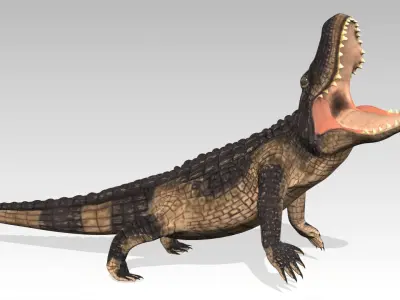 Alligator Animated Low-poly 3D model