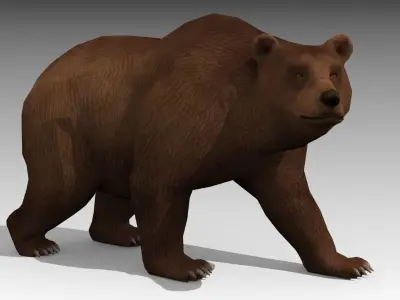 Grizzly Bear Animated Low-poly 3D model