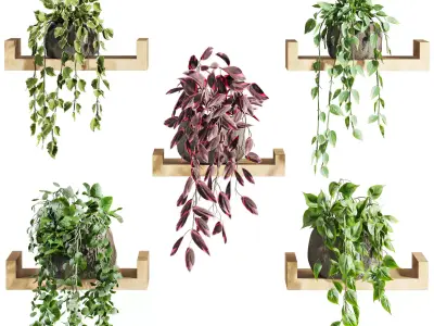 Plants Set 3D model