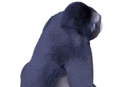 Cartoon Gorilla Animated blender Low-poly 3D model