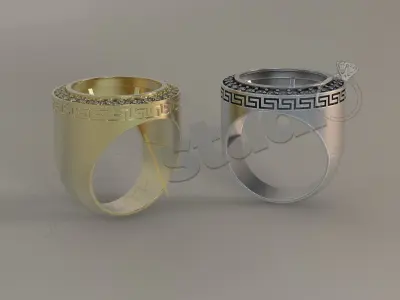 Luxury brilliant sevalie ring for coin case 3d model 3D print model