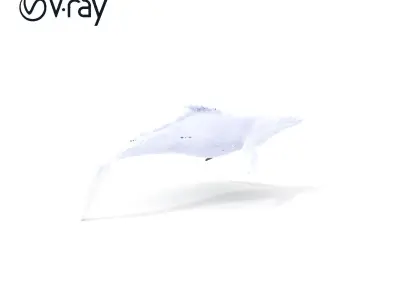 Prehistoric Marine Reptile Model Pack Low-poly 3D model