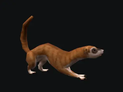 animated weasel Low-poly 3D model