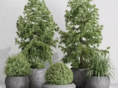 outdoor plant set 179 plant topiary tree pine grass vase Low-poly 3D model