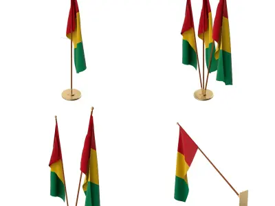 Guinea Flag Pack 3D model