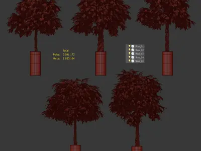 The ficus is large - 5 models 3D model