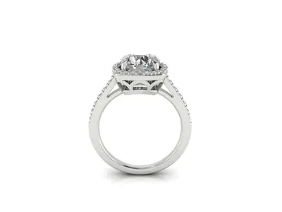 Ring 160 3D print model