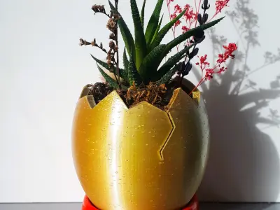 Egg Shaped Mini Planter for Succulent and Plants  3D print model