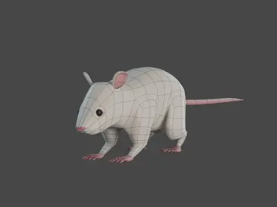Rat 3d model 3D model