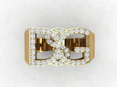DSG ring size 6 3D print model