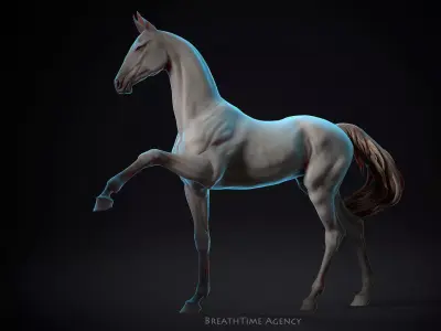 Akhal-Teke walking - 3D Sculpting 3D print model