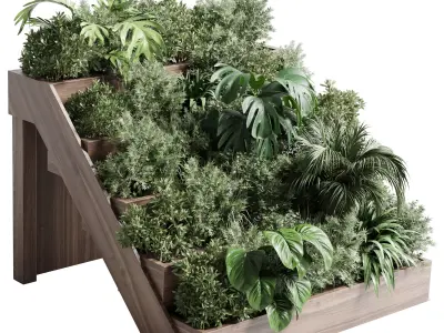Collection outdoor plant stairs wooden vase pot fern bush  Low-poly 3D model