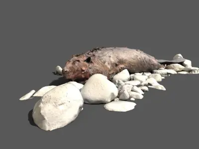 Dead beaver on river bank Low-poly 3D model